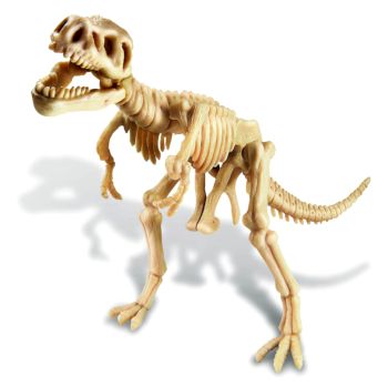 Набор Раскопай скелет. Тираннозавр - 1 335 руб. в alfabook