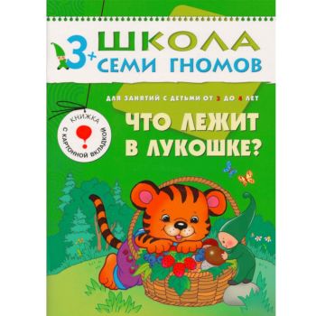 Комплект книг Школа семи гномов 3-4 года. полный годовой курс (12 книг с играми и наклейкой) - 1 809 руб. в alfabook