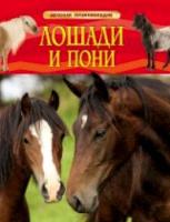 Лошади и пони. Детская энциклопедия. - 331 руб. в alfabook