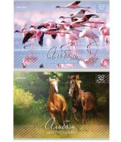 Альбом для рисования, А4, 32 листа, скоба, обложка картон, BRAUBERG, 200х283 мм, "Живая природа" (2 вида), 103683 - 120 руб. в alfabook