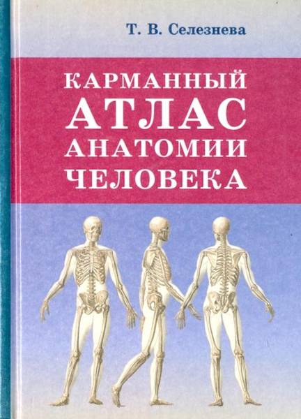 Карманный атлас анатомии человека (офсет) Селезнева. - 242 руб. в alfabook