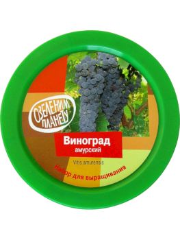 Набор для выращивания Виноград Амурский - 224 руб. в alfabook