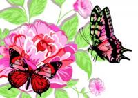 Раскраска по номерам Бабочки в пионах - 296 руб. в alfabook
