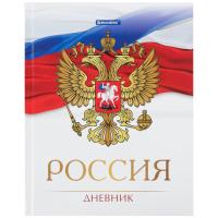 Дневник 5-11 класс, 48 л., твердый, "Символика 2", BRAUBERG - 105 руб. в alfabook