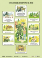 Экологическое воспитание в детском саду. Плакат. Как лесник заботится о лесе.Николаева. - 92 руб. в alfabook