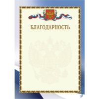 Благодарность с тиснением  - 37 руб. в alfabook