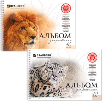 Альбом для рисования, А4, 40 листов, гребень, обложка картон, BRAUBERG, 205х290 мм, "Благородные кошки" (2 вида), 102831 - 192 руб. в alfabook