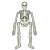 Набор Юный врач. Скелет человека - 975 руб. в alfabook