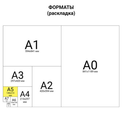 Тетрадь на кольцах, А5, 80 л., голубой, BRAUBERG - 212 руб. в alfabook