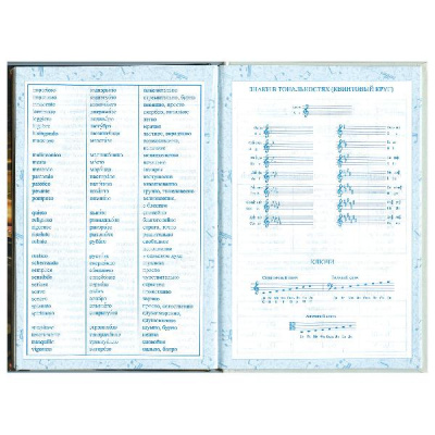 Дневник для музыкальной школы, твердый, "Музыка", BRAUBERG - 65 руб. в alfabook