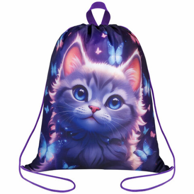 Мешок для обуви BRAUBERG KIDS, с петлей, 42х34 см, "Curious cat", 273434 - 357 руб. в alfabook