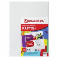 Белый картон, А4, мелованный, 25 листов, для творчества и подшивки документов, BRAUBERG - 170 руб. в alfabook